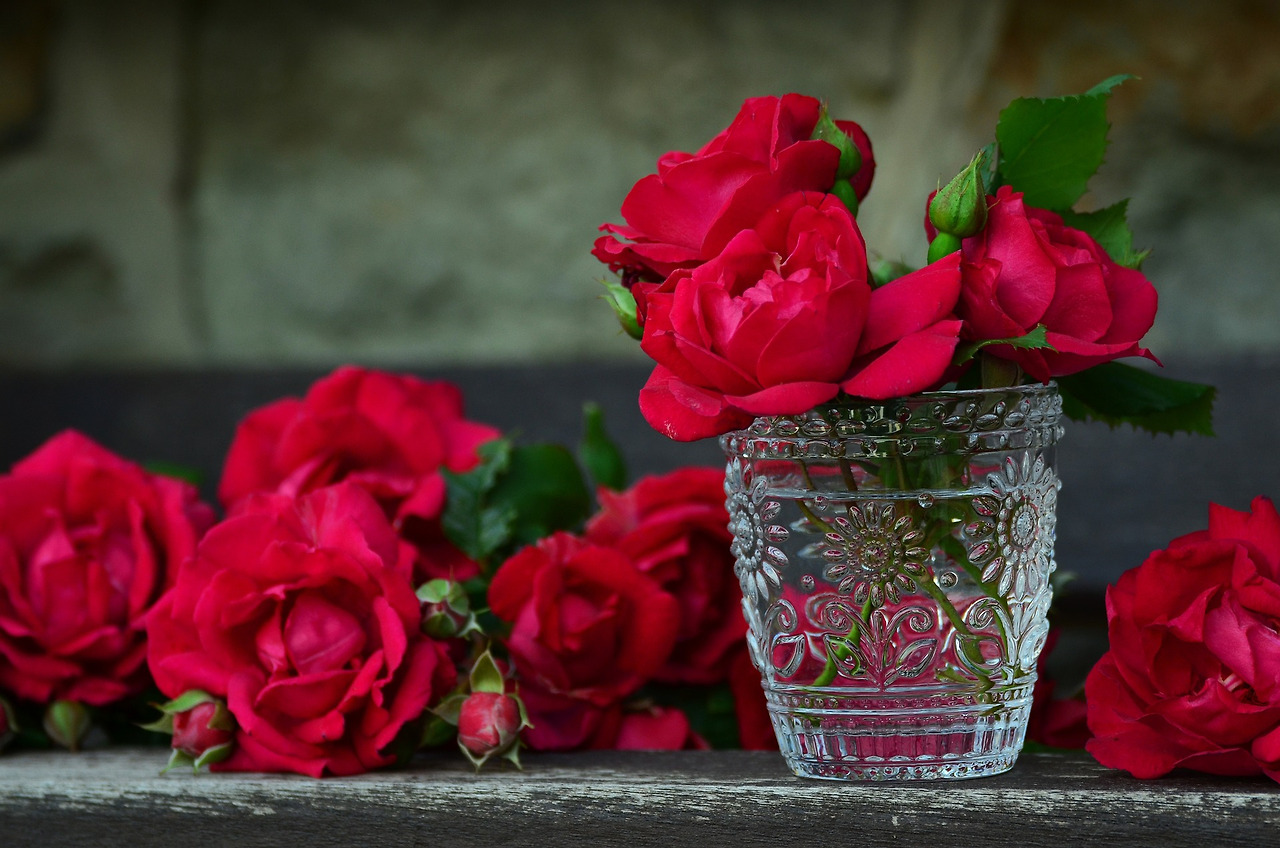 roses-821705_1920.jpg