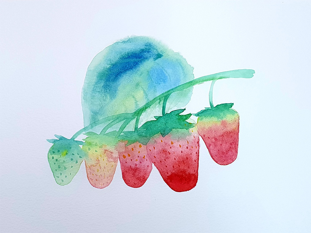 딸기.jpg