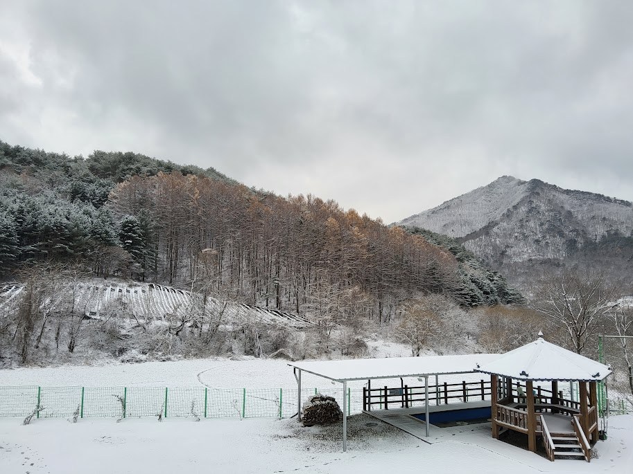 20241127_눈 쌓인 신월리.jpg