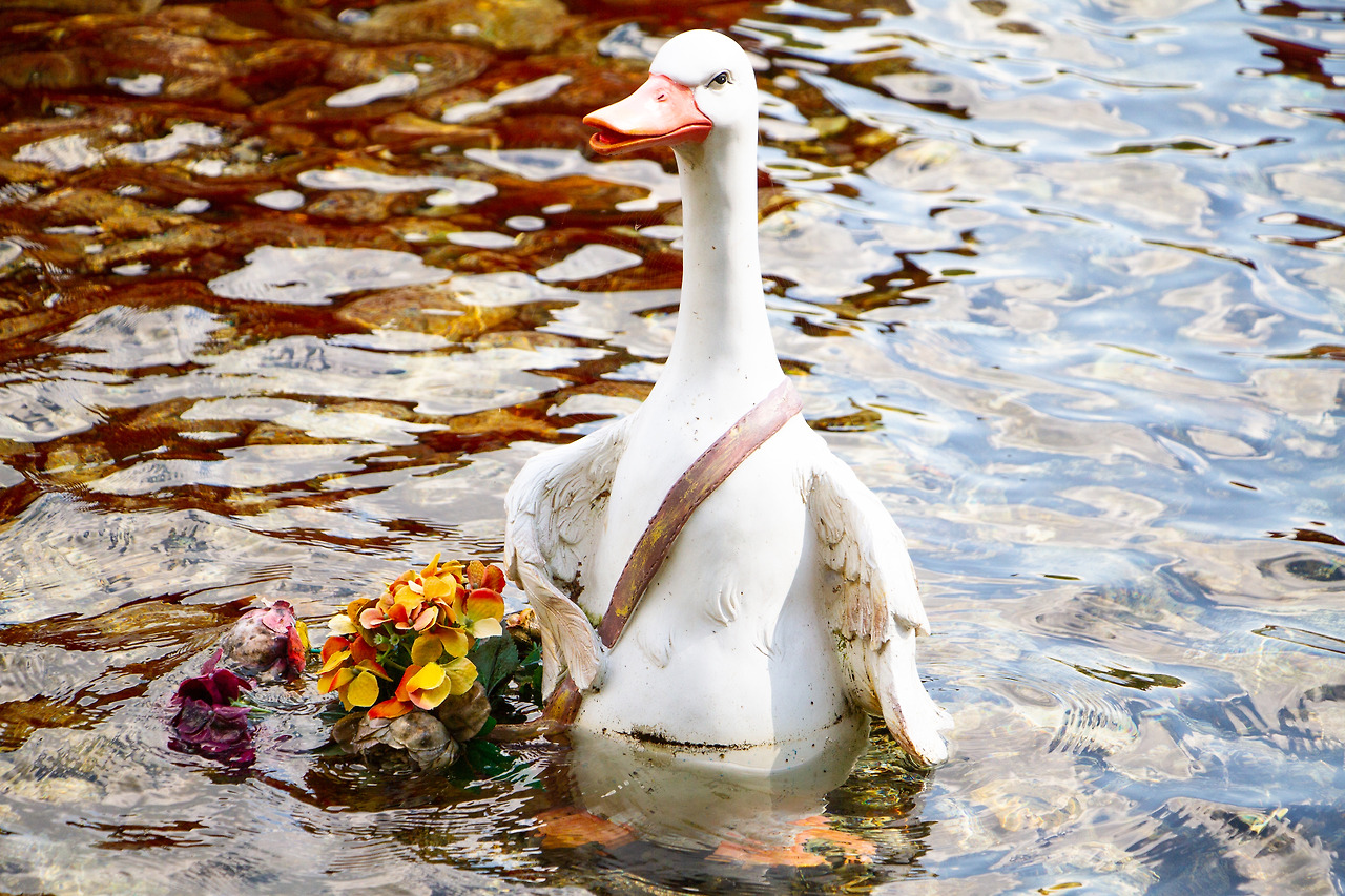 20221008-IMG_2714 - 복사본.jpg