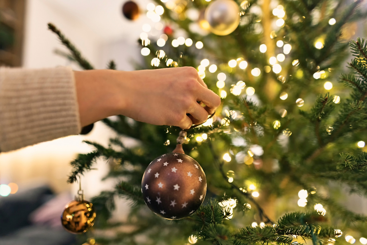 제이닷 트리.jpg