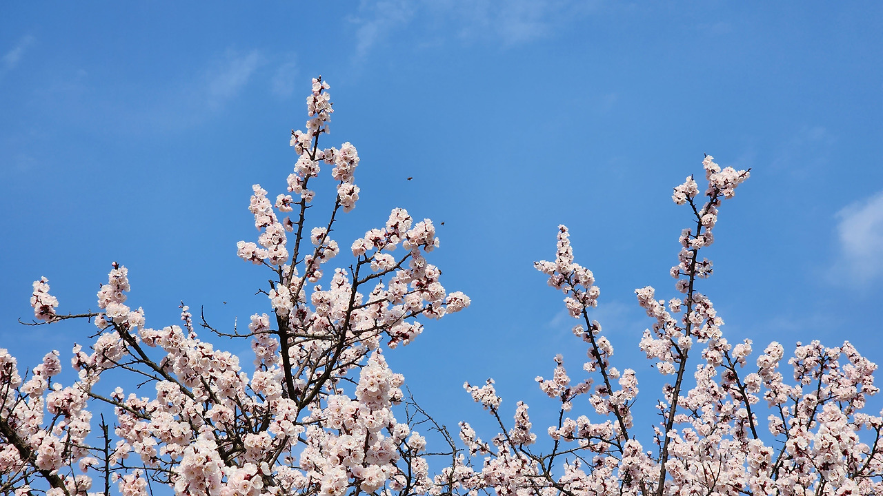 다재다능르코_르코_새싹챌린지_글쓰기챌린지 (10).jpg