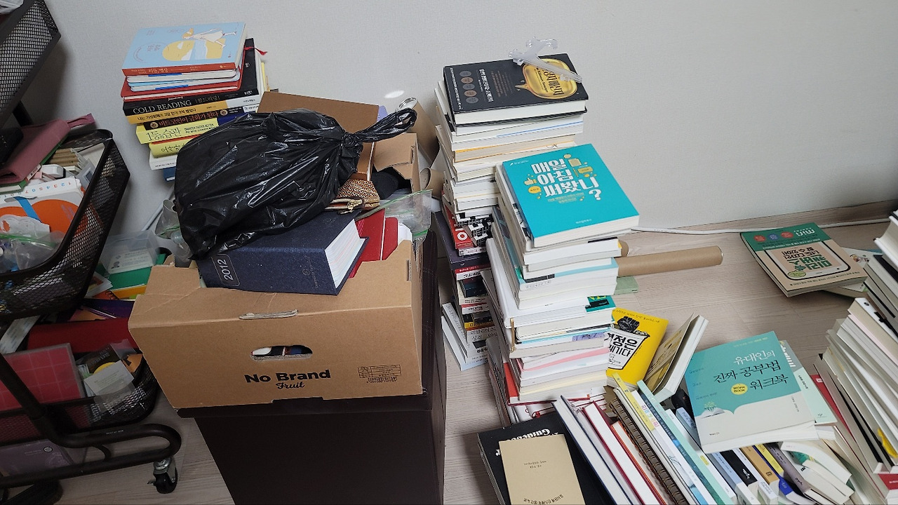 다재다능르코_프로경험러_전형적인 P_정리정돈_청소_집정리_집청소 (3).jpg