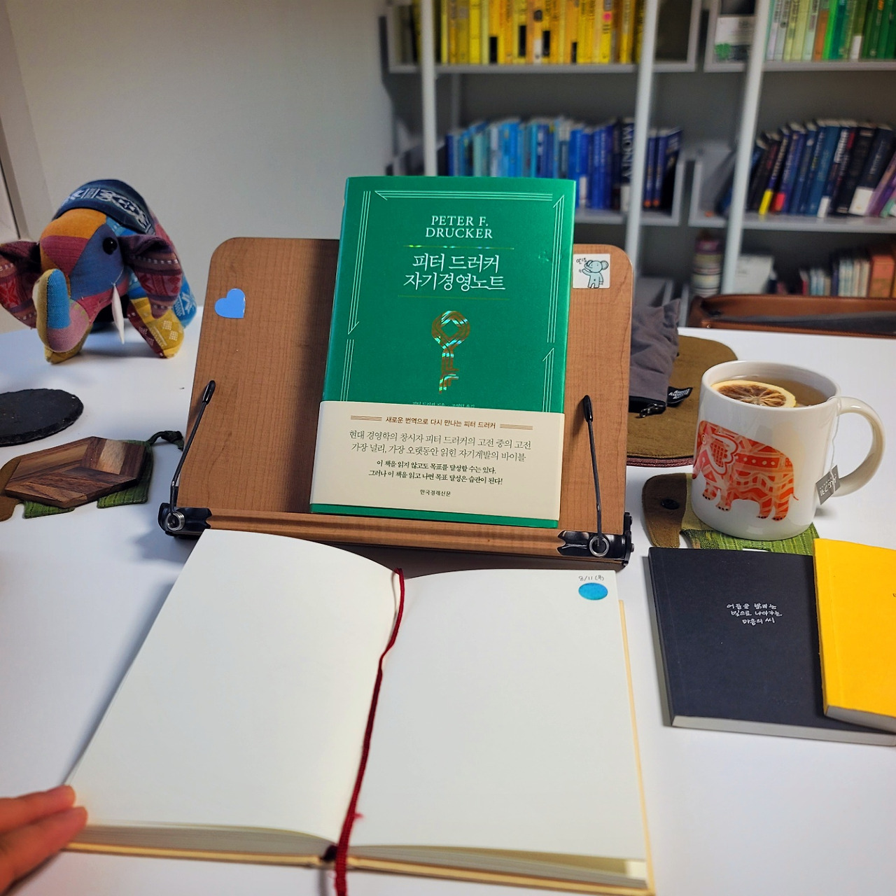 다재다능르코_미니멀리스트_자기만의 방_정리정돈_청소 (1).jpg