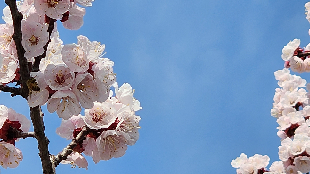 다재다능르코_르코_새싹챌린지_글쓰기챌린지 (13).jpg