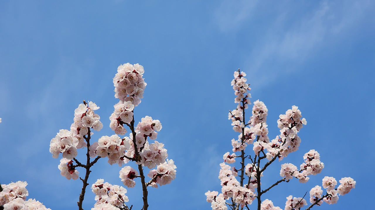 다재다능르코_르코_새싹챌린지_글쓰기챌린지 (12).jpg