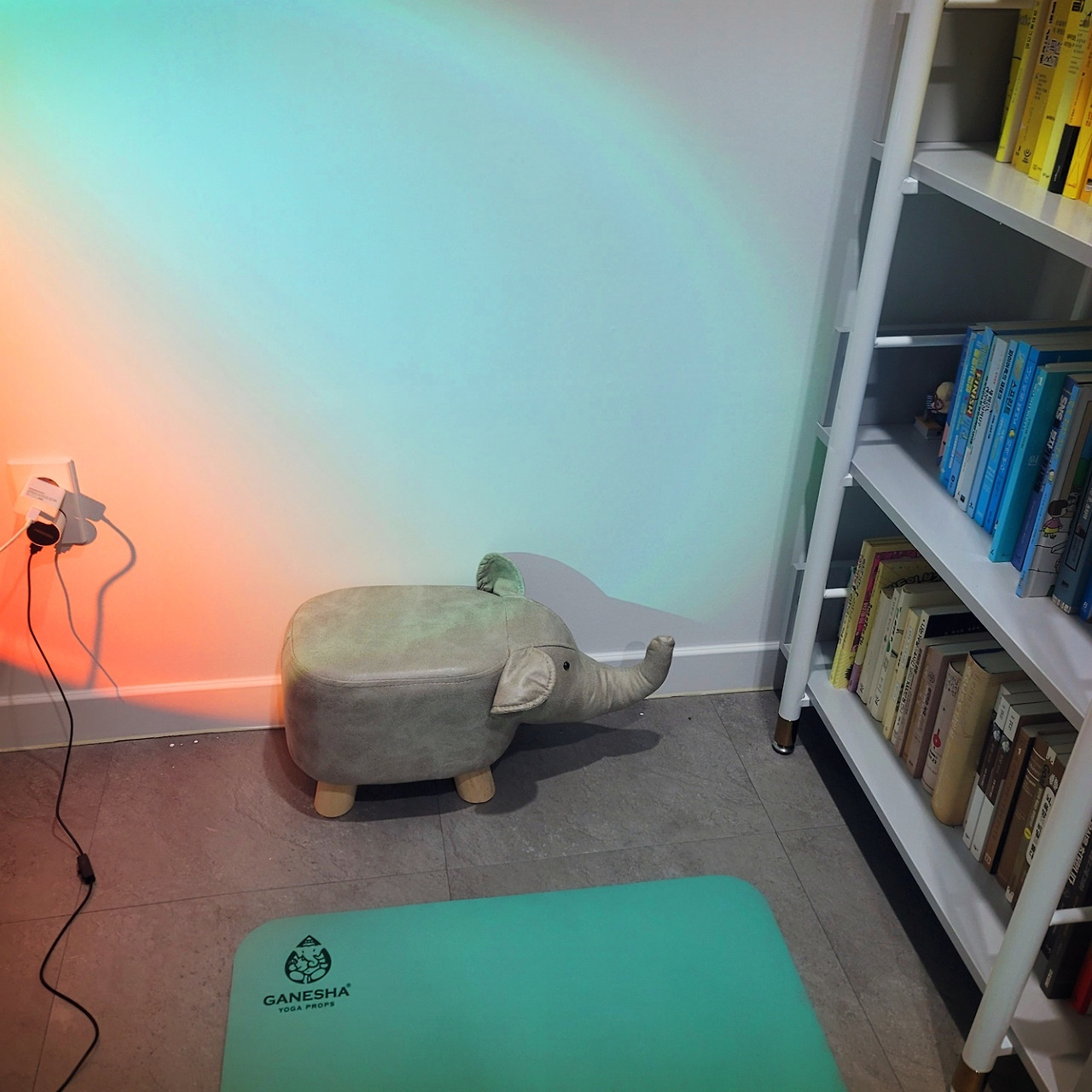 다재다능르코_미니멀리스트_자기만의 방_정리정돈_청소 (3).jpg