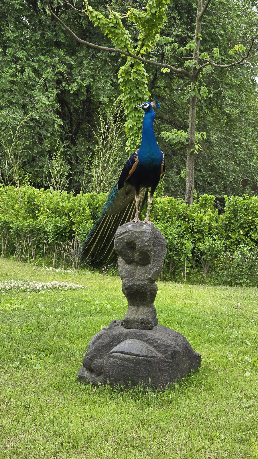 2024 회고_플래너추천_다이어리추천_회고_기록법_기록방법_다이어리 쓰는 방법_다재다능르코_기록하는 사람_쓰는사람_다이어리 모임_플래너기록 1 (1).jpg