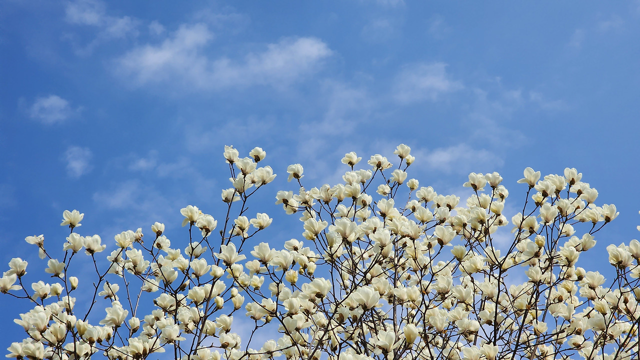 다재다능르코_르코_새싹챌린지_글쓰기챌린지 (11).jpg