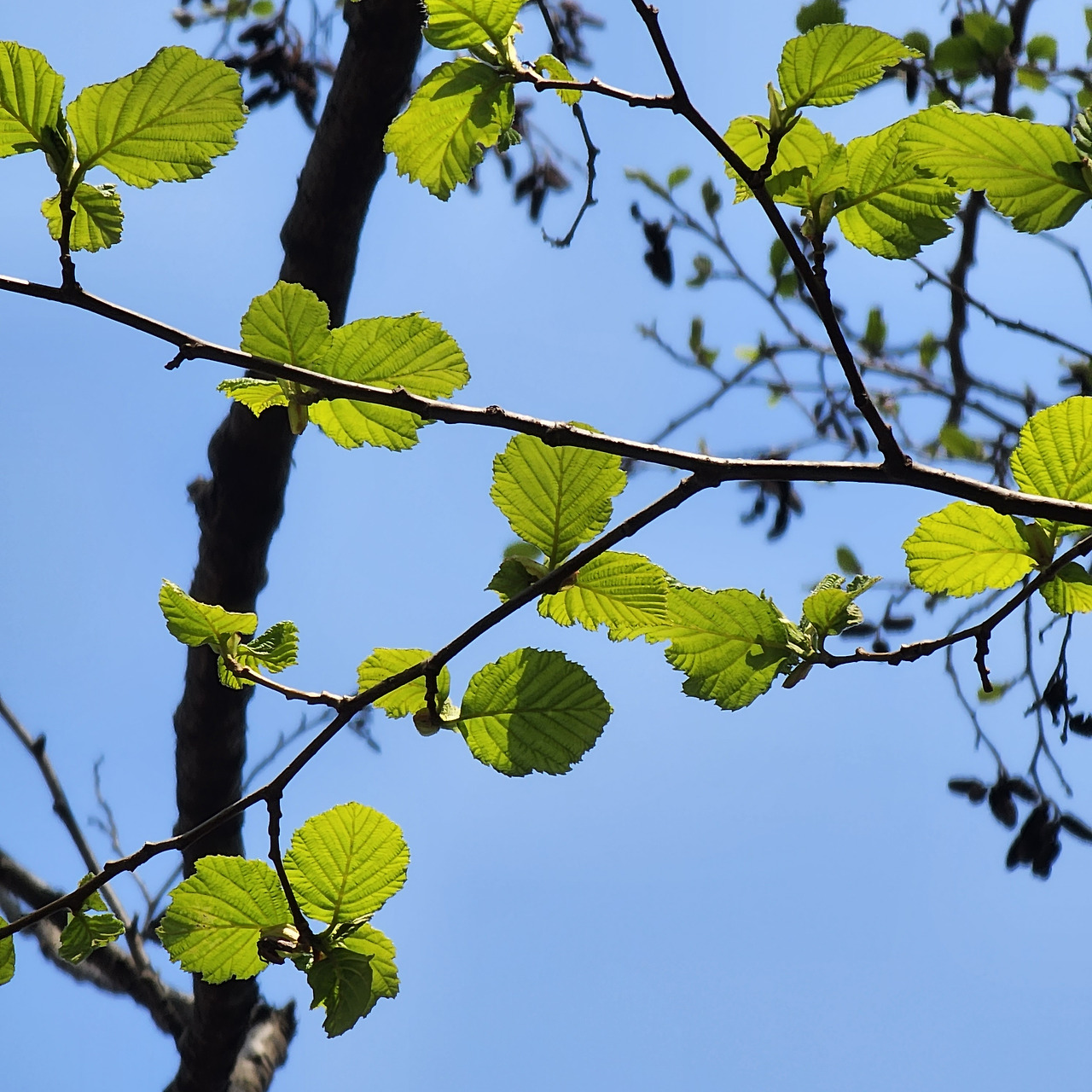 다재다능르코_르코_새싹챌린지_글쓰기챌린지 (4).jpg