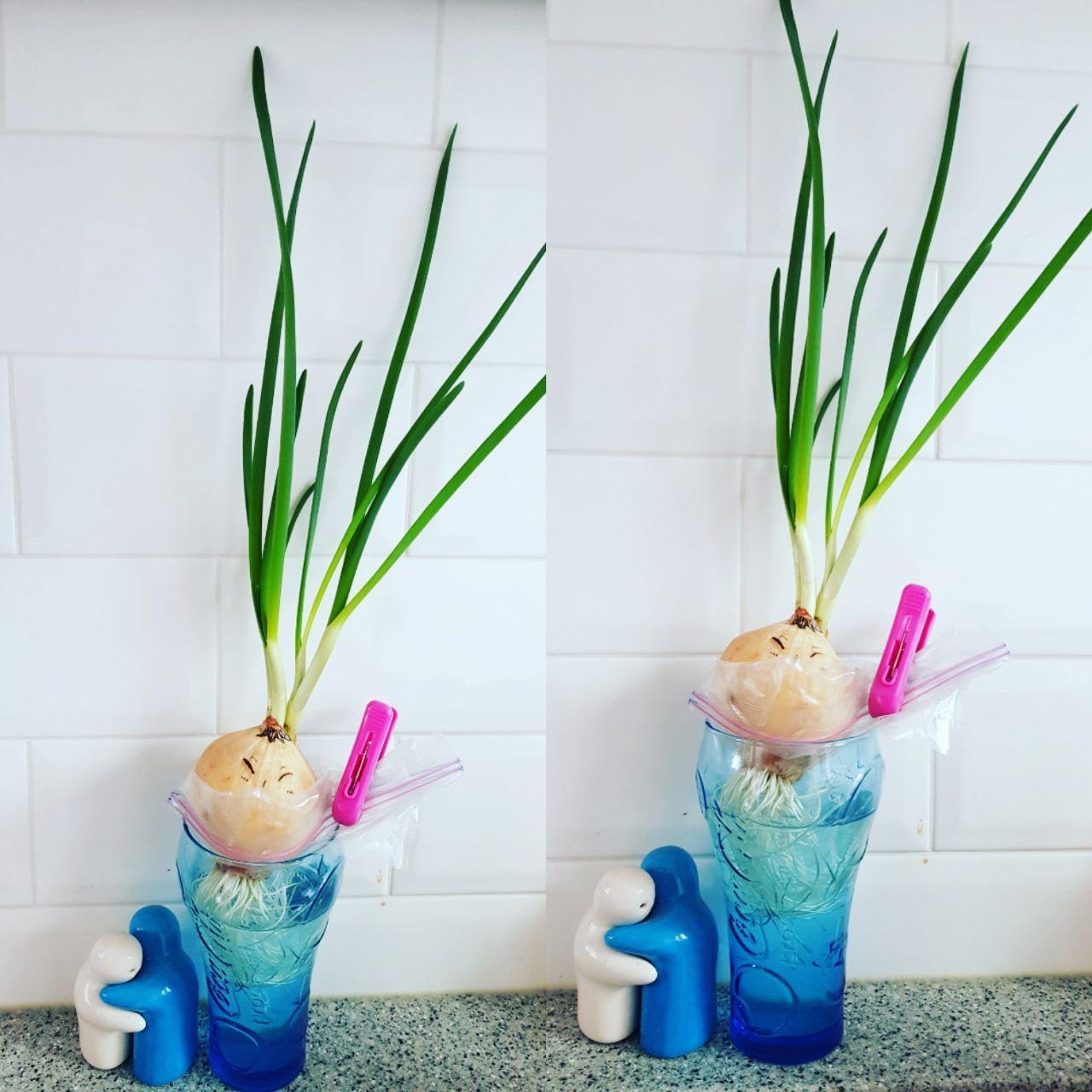 브런치_매일 글쓰기_습관_공백의 가치_계획_자기계발_시간관리 4.jpg