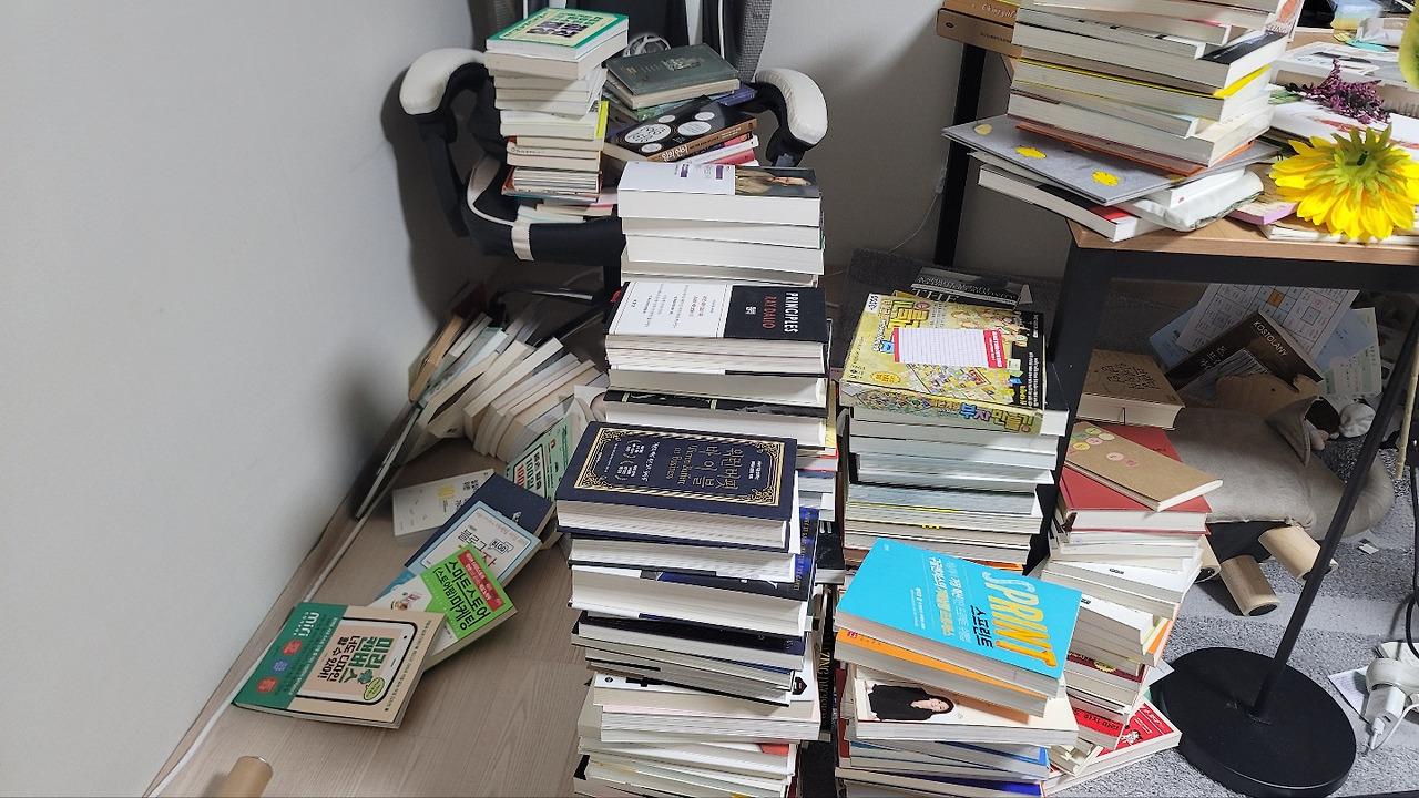 다재다능르코_프로경험러_전형적인 P_정리정돈_청소_집정리_집청소 (2).jpg