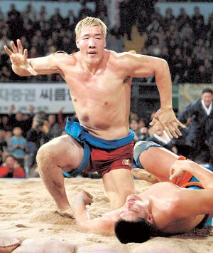 최홍만 씨름.jpg