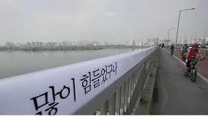 자살다리.jpg