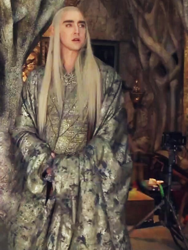 6d7cd6e1f2aef440b964777bf0d83bb3--lee-pace-thranduil-thranduil-cosplay.jpg