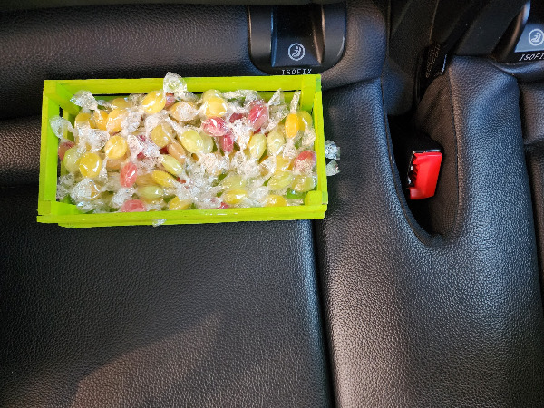 20230409_132516   -3.jpg