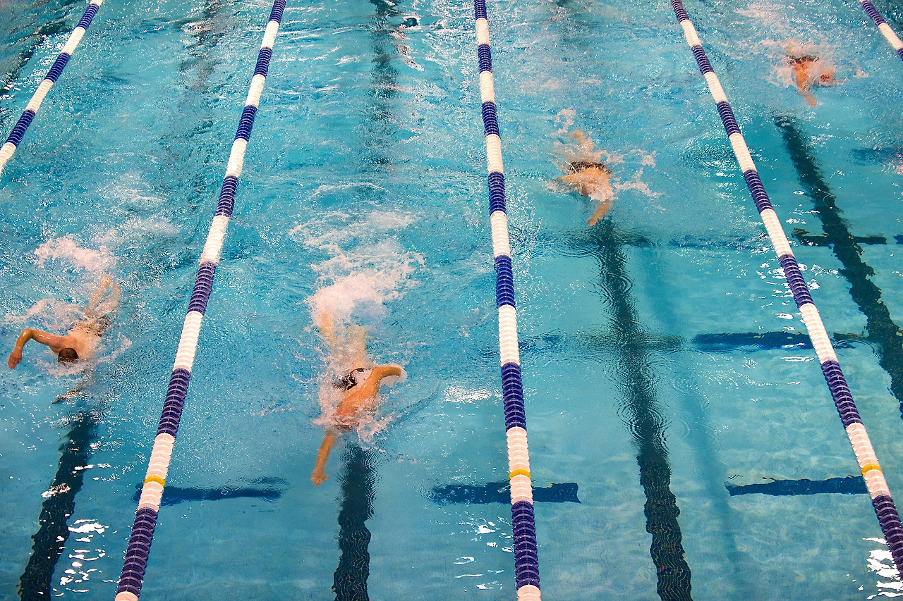 swimming-659903_1920.jpg
