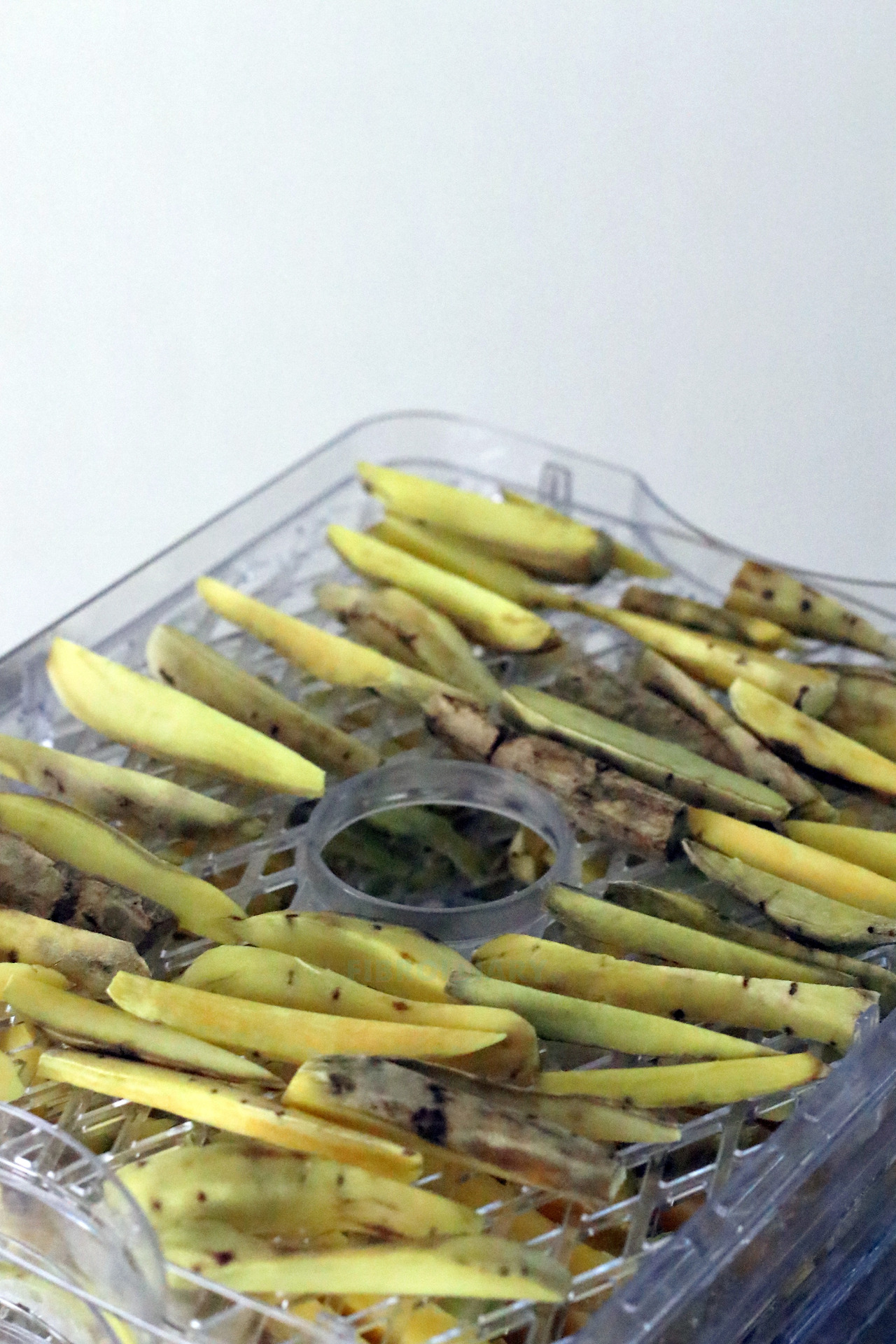 IMG_2763 사본.jpg