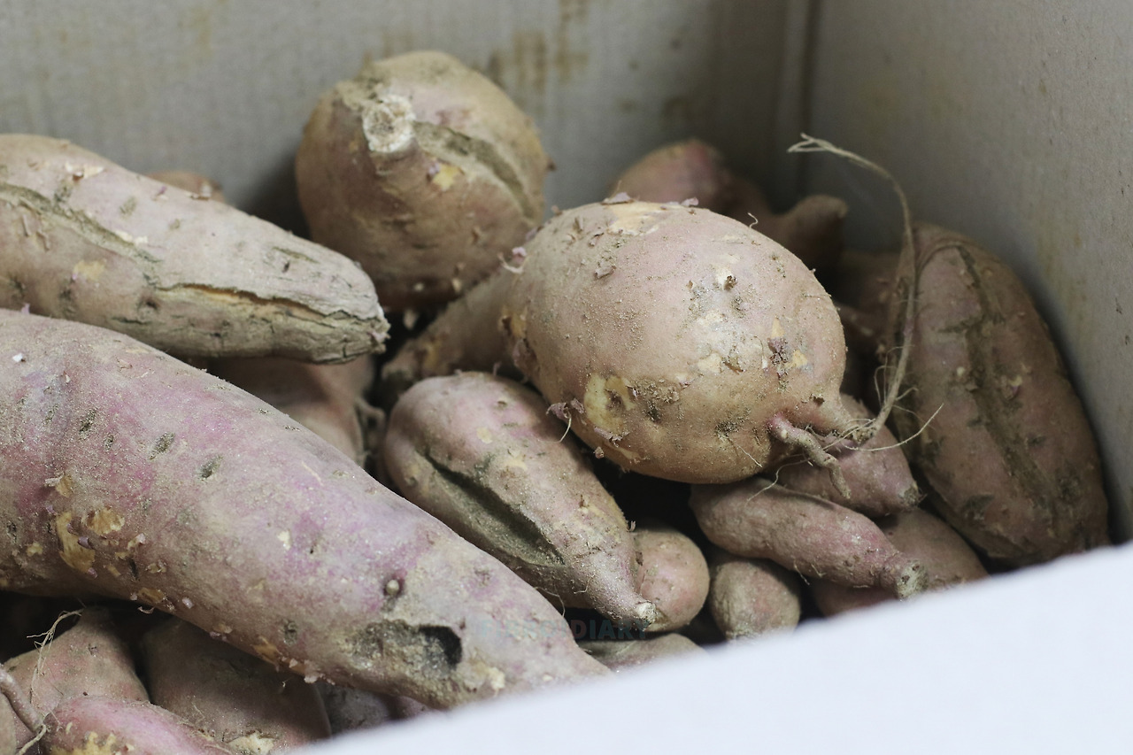 IMG_2726 사본.jpg