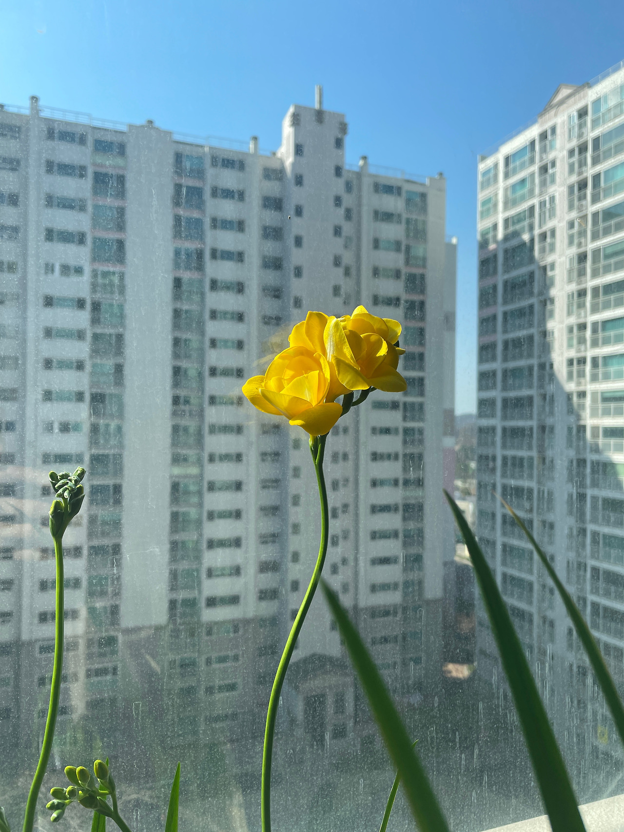 카지노 가입 쿠폰