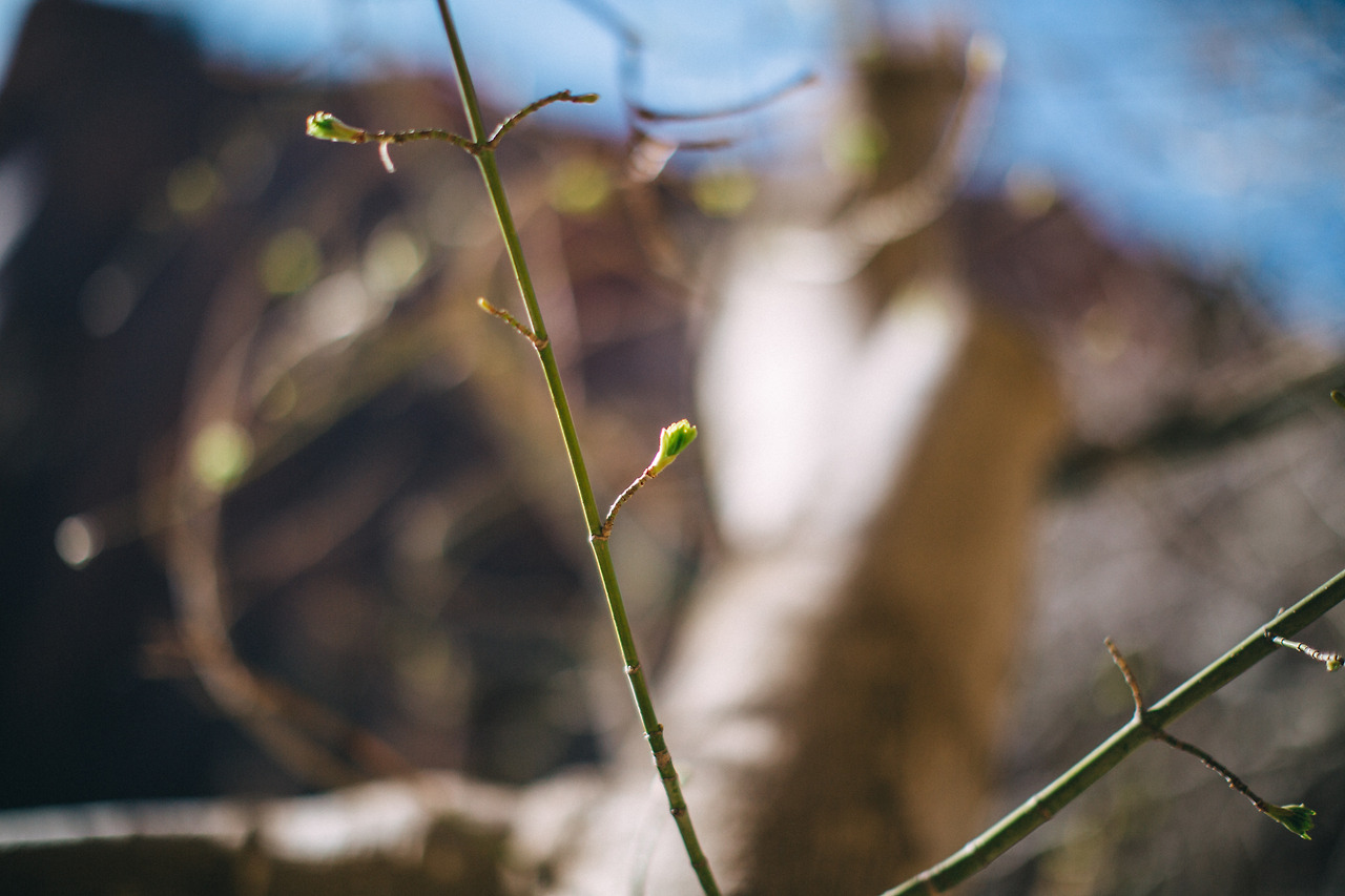 Day 9-15 (384 of 453).jpg