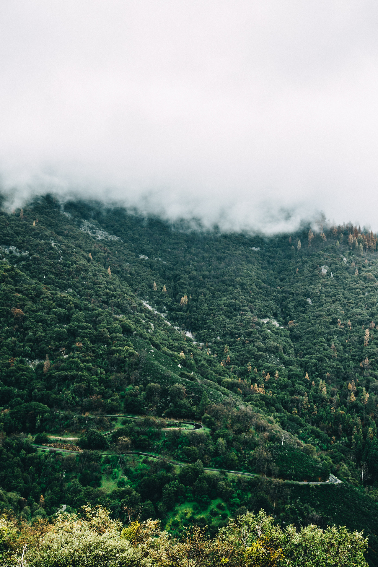 Day 16-23 (271 of 546).jpg