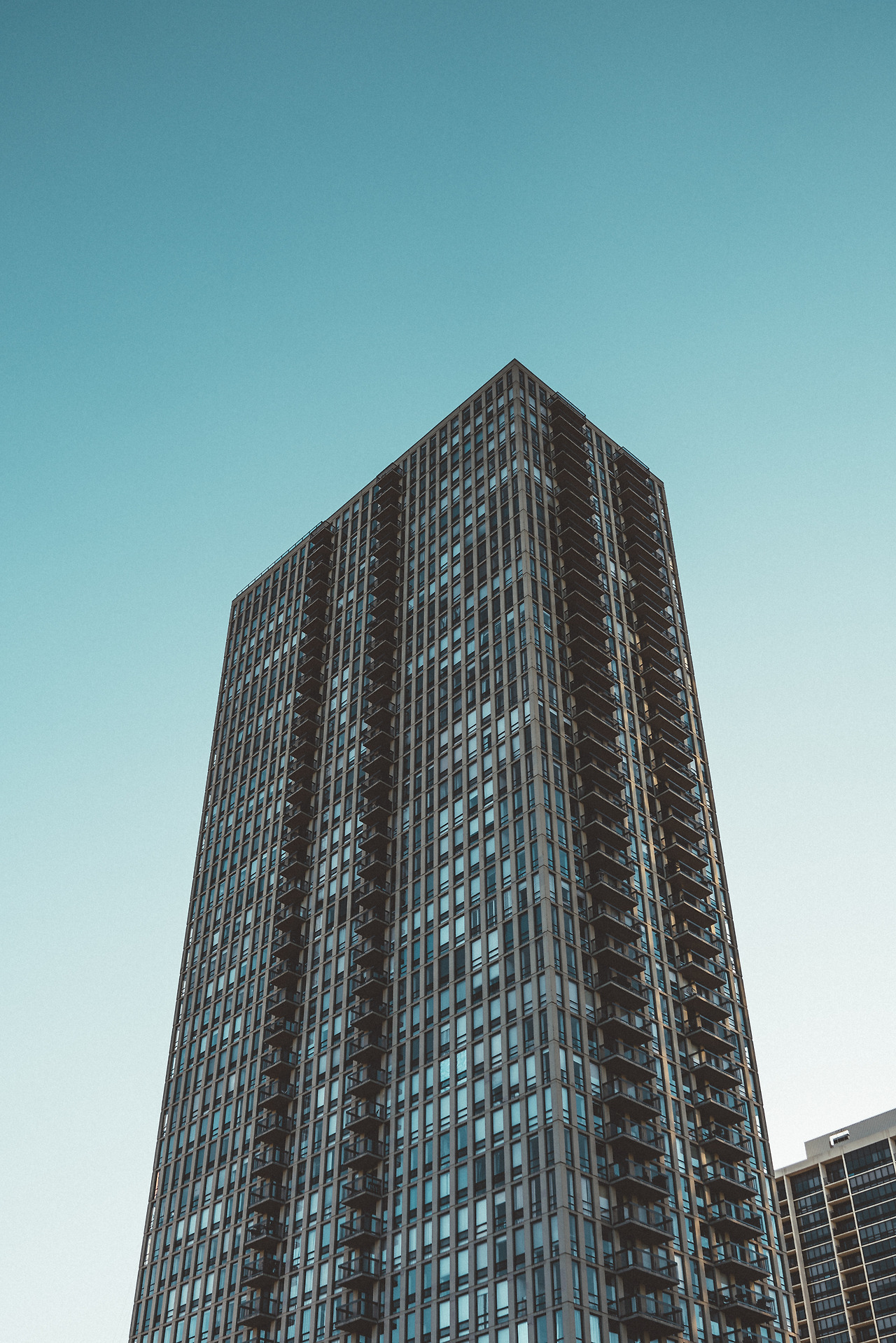 d15-16 (25 of 46).jpg