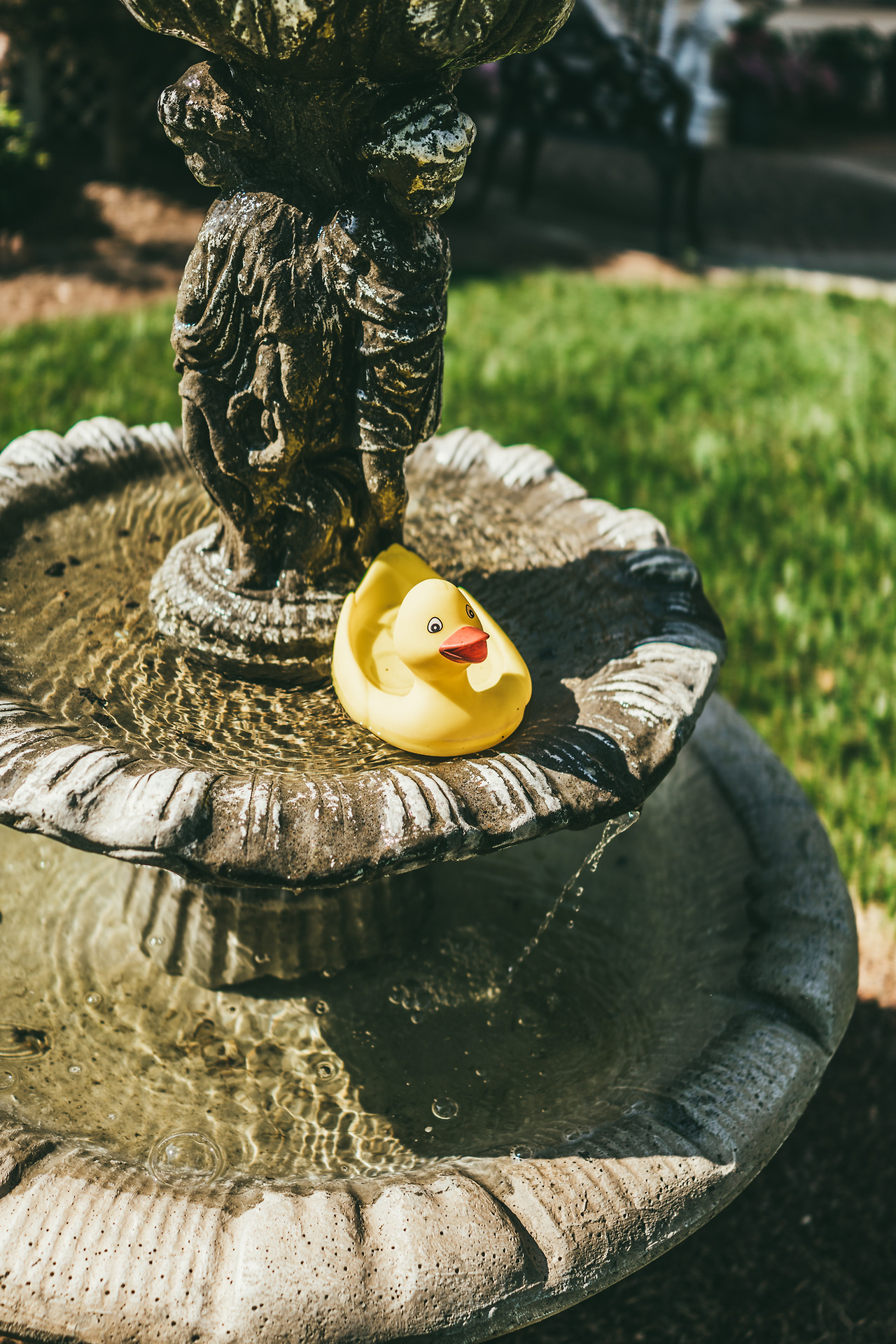 web Rest (36 of 100).jpg