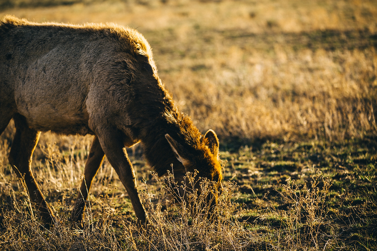 Day 24-35 (589 of 672).jpg