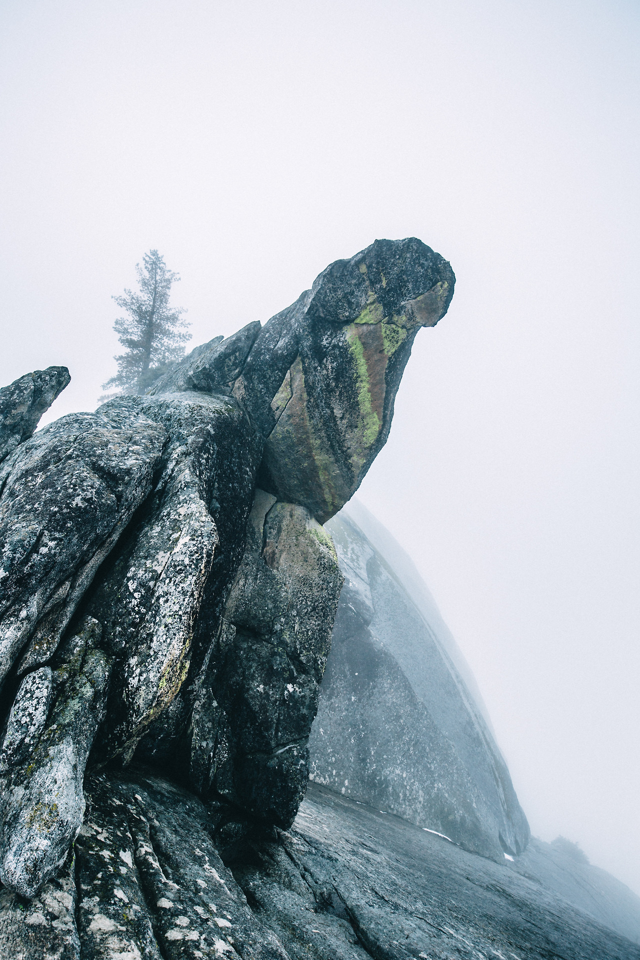 Day 16-23 (338 of 546).jpg