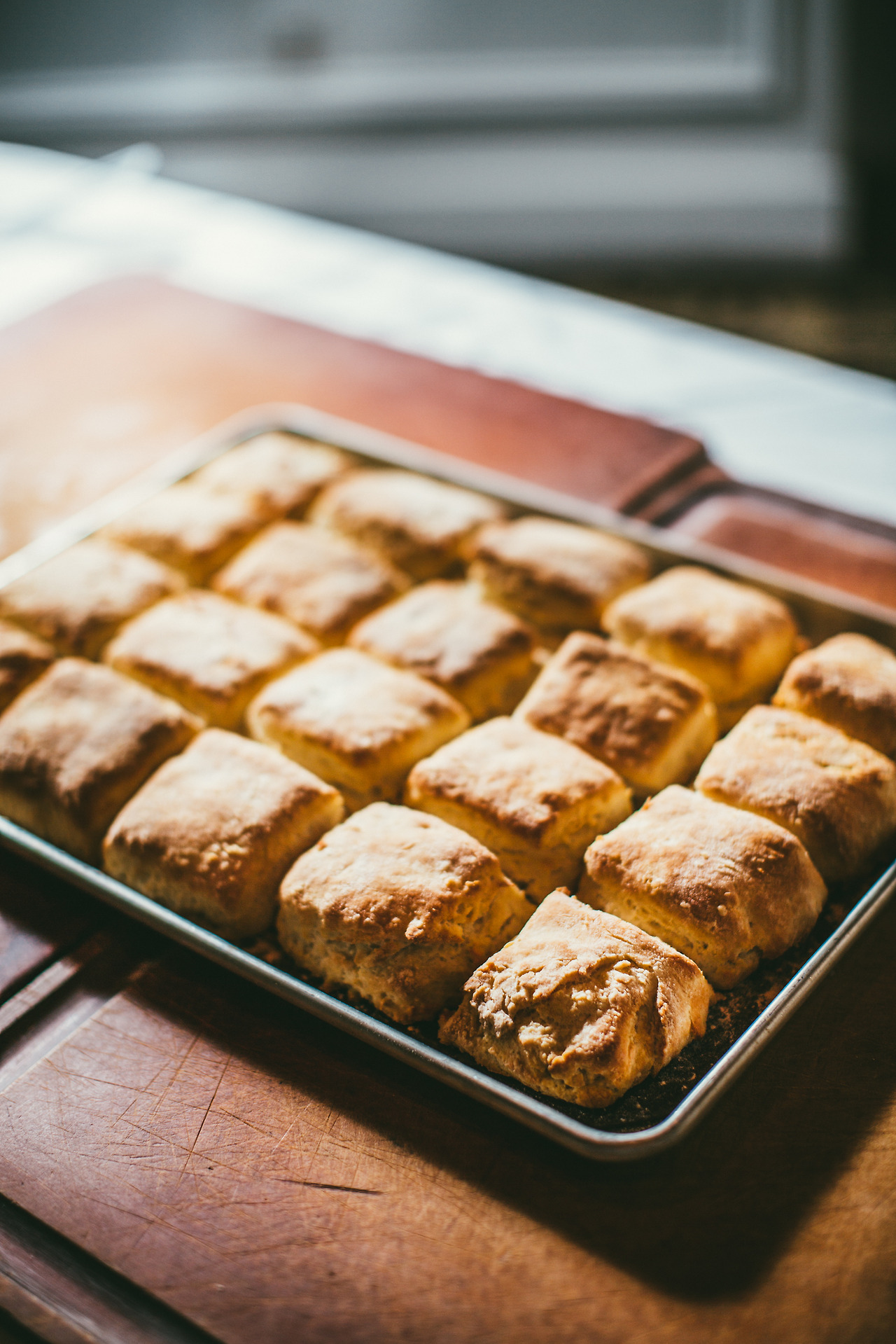 비스켓 (44 of 76).jpg