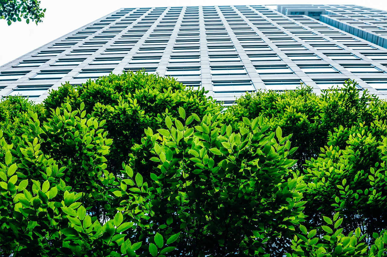 미술관 (46 of 76).jpg