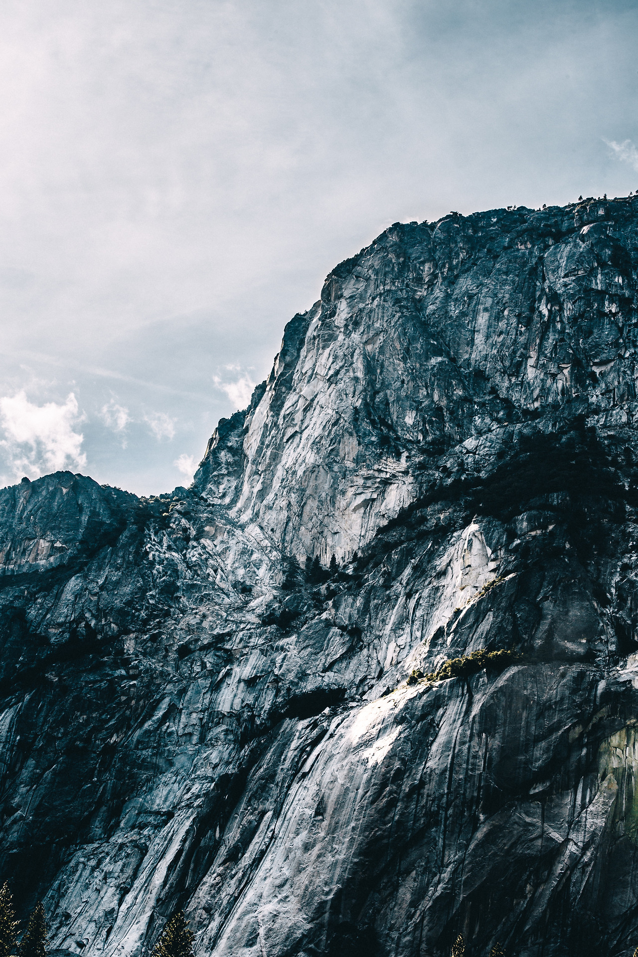 Day 16-23 (441 of 546).jpg