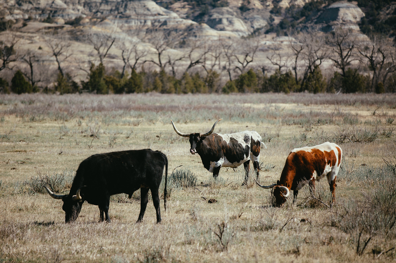 Day 36-50 (216 of 316).jpg