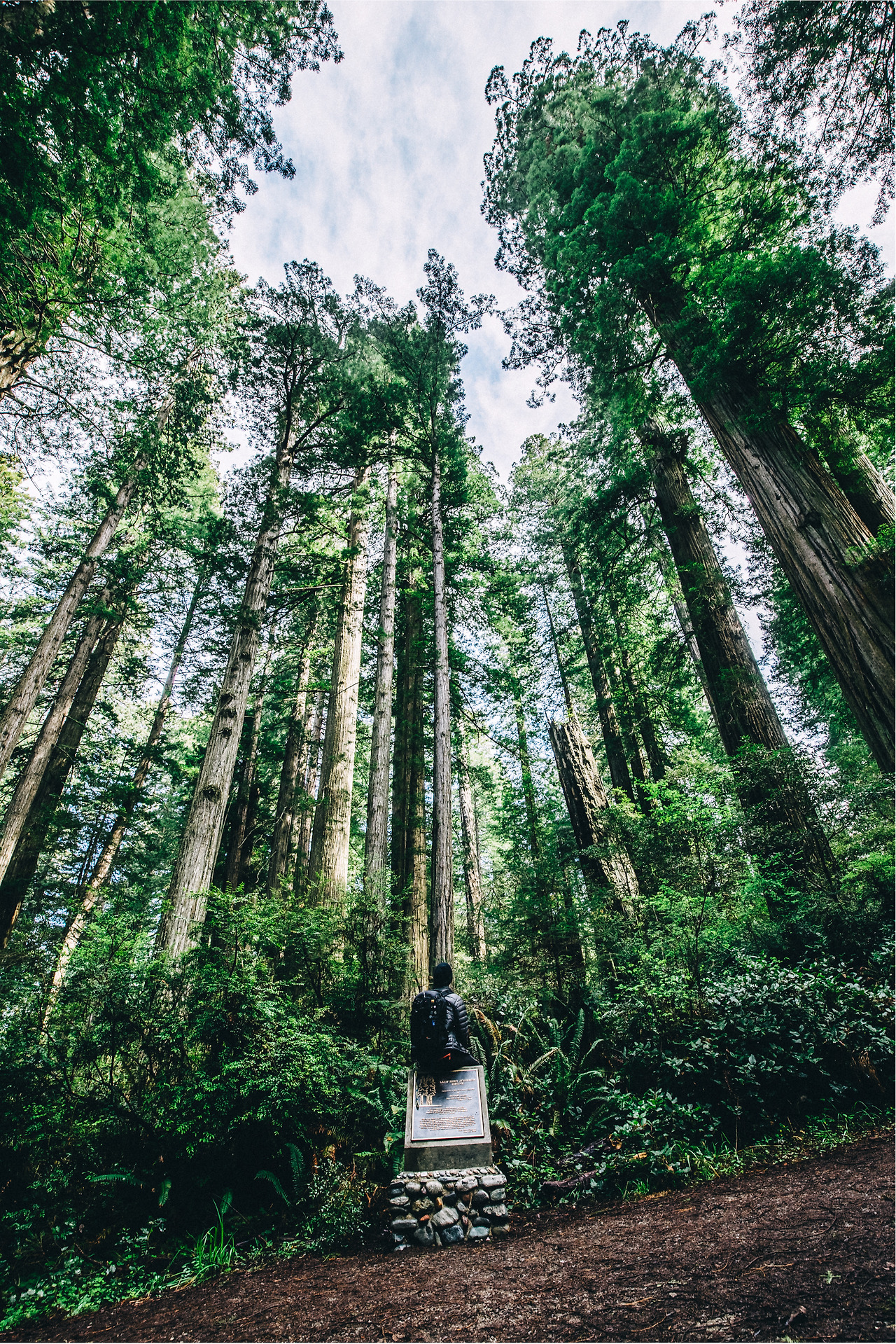 Day 24-35 (118 of 672).jpg