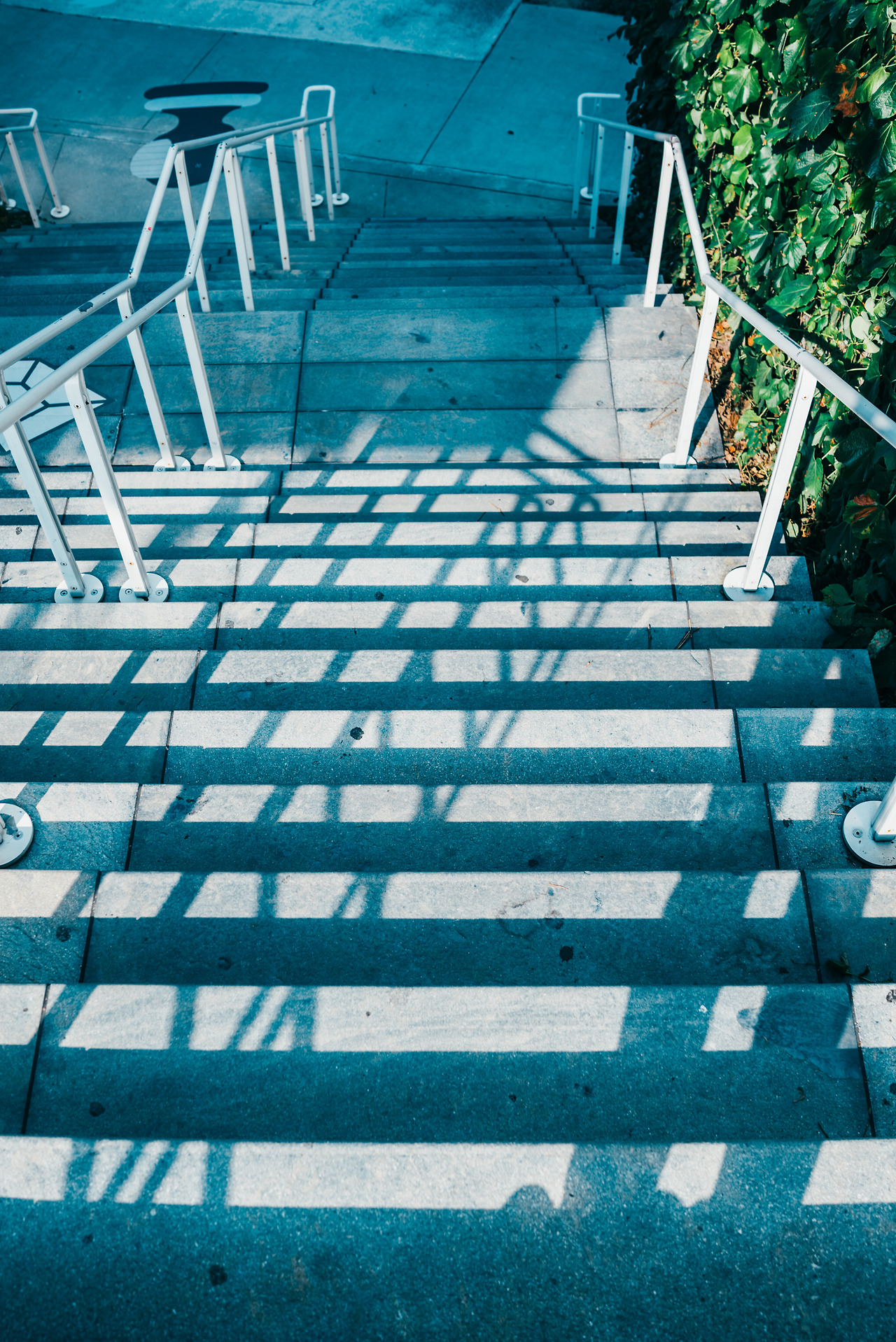 미술관 (15 of 76).jpg