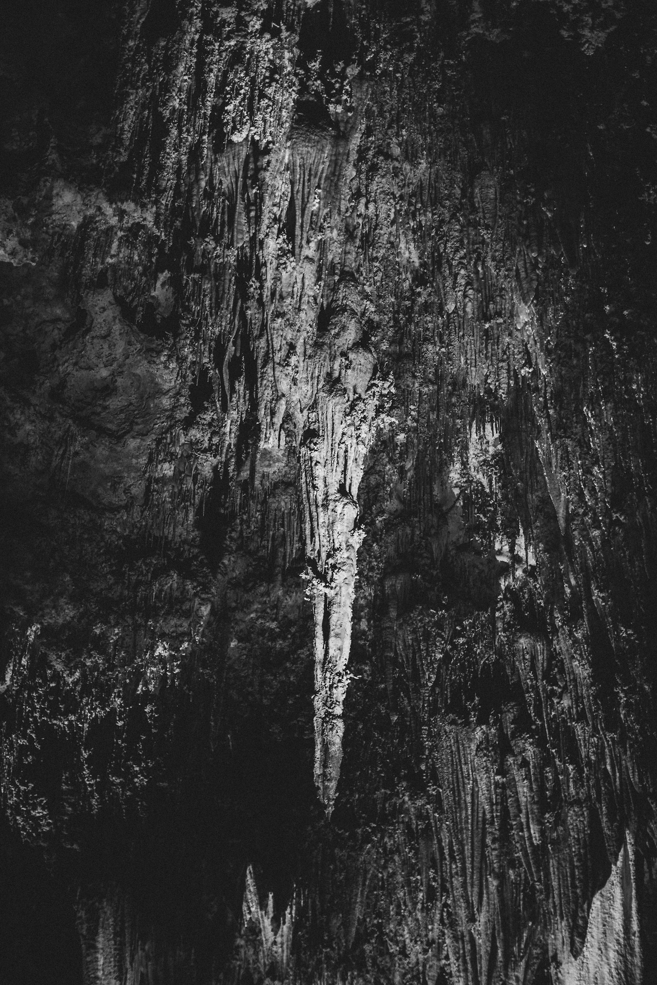 Day 6-8 (29 of 203).jpg