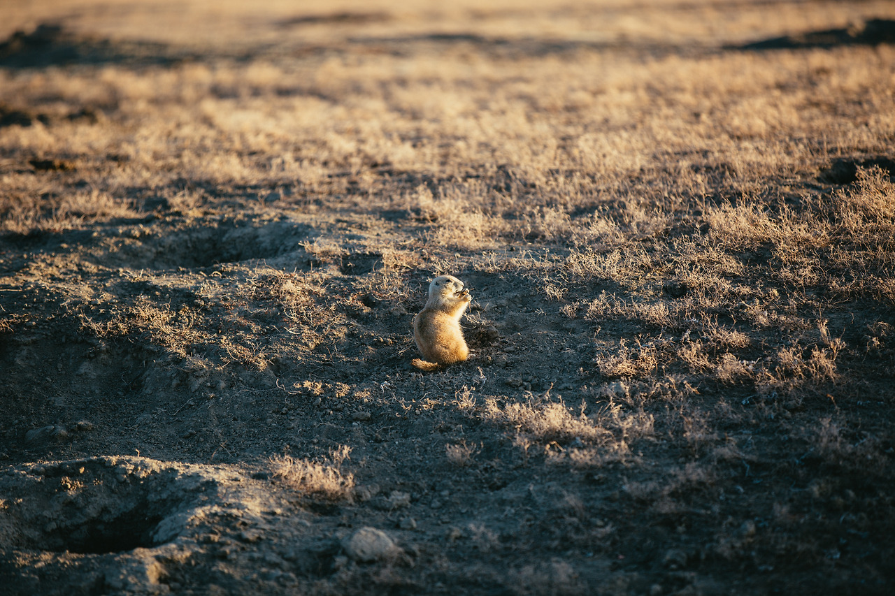 Day 36-50 (203 of 316).jpg