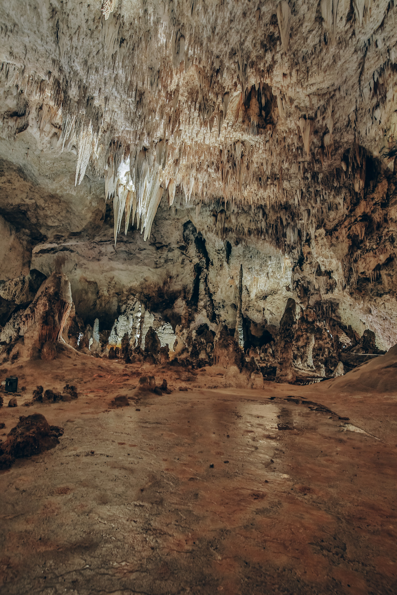 Day 6-8 (65 of 203).jpg