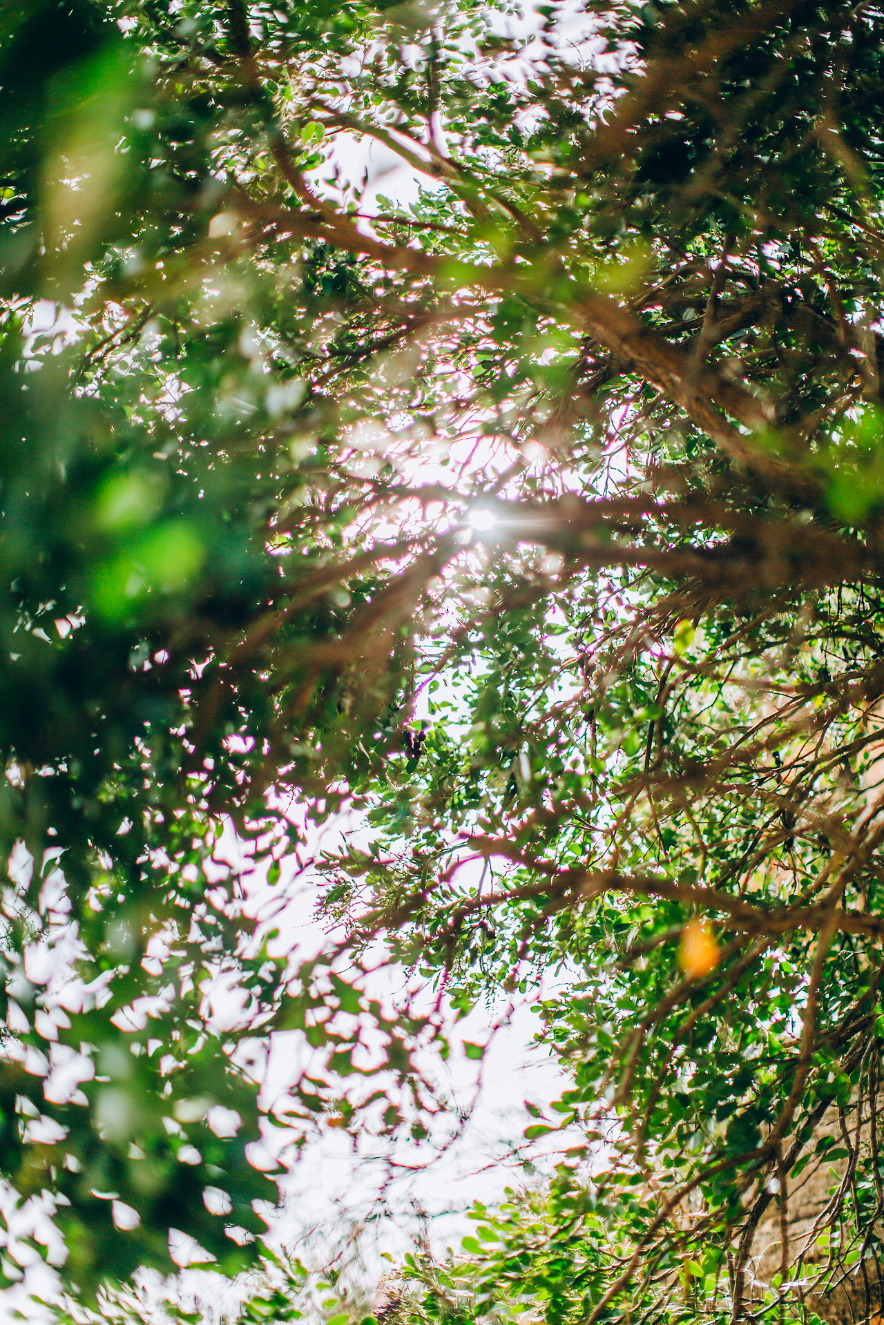 Day 6-8 (92 of 203).jpg