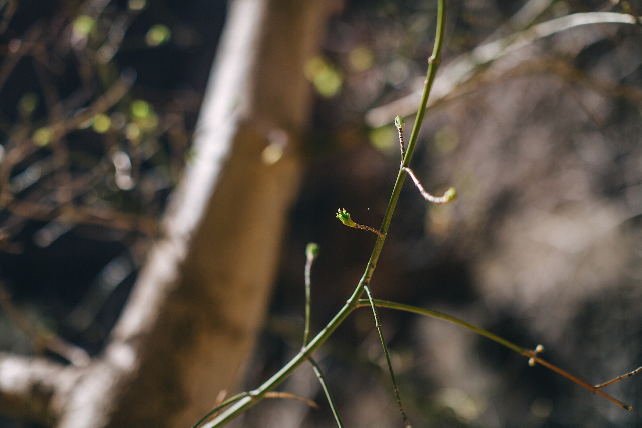 Day 9-15 (382 of 453).jpg