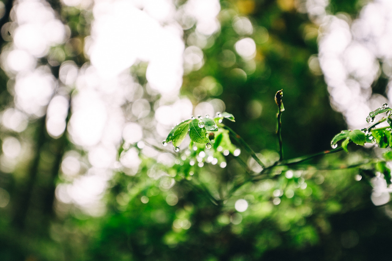 Day 24-35 (138 of 672).jpg