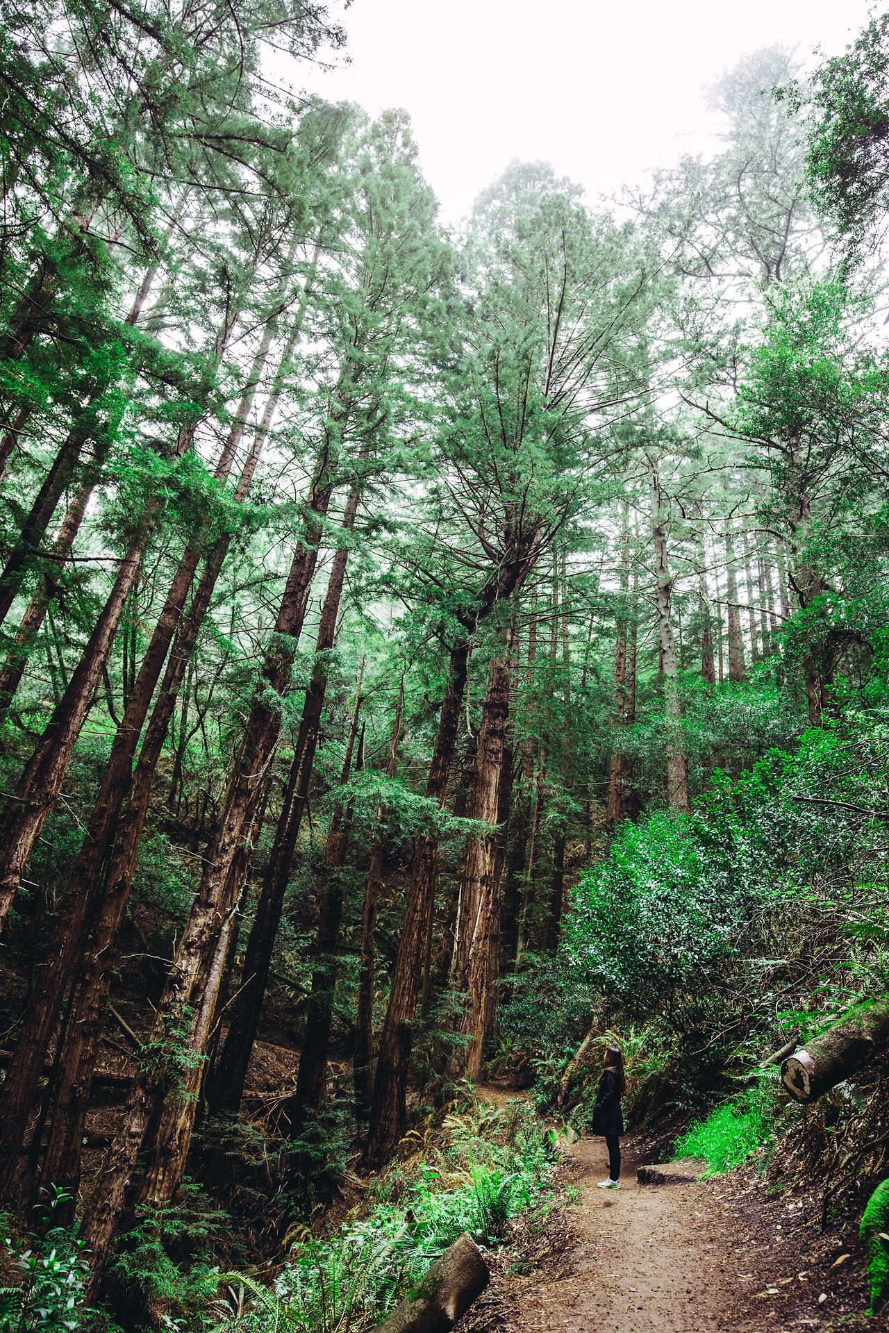 Day 16-23 (31 of 546).jpg