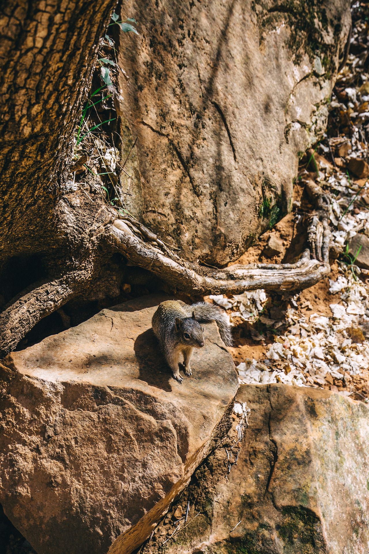 Day 9-15 (336 of 453).jpg