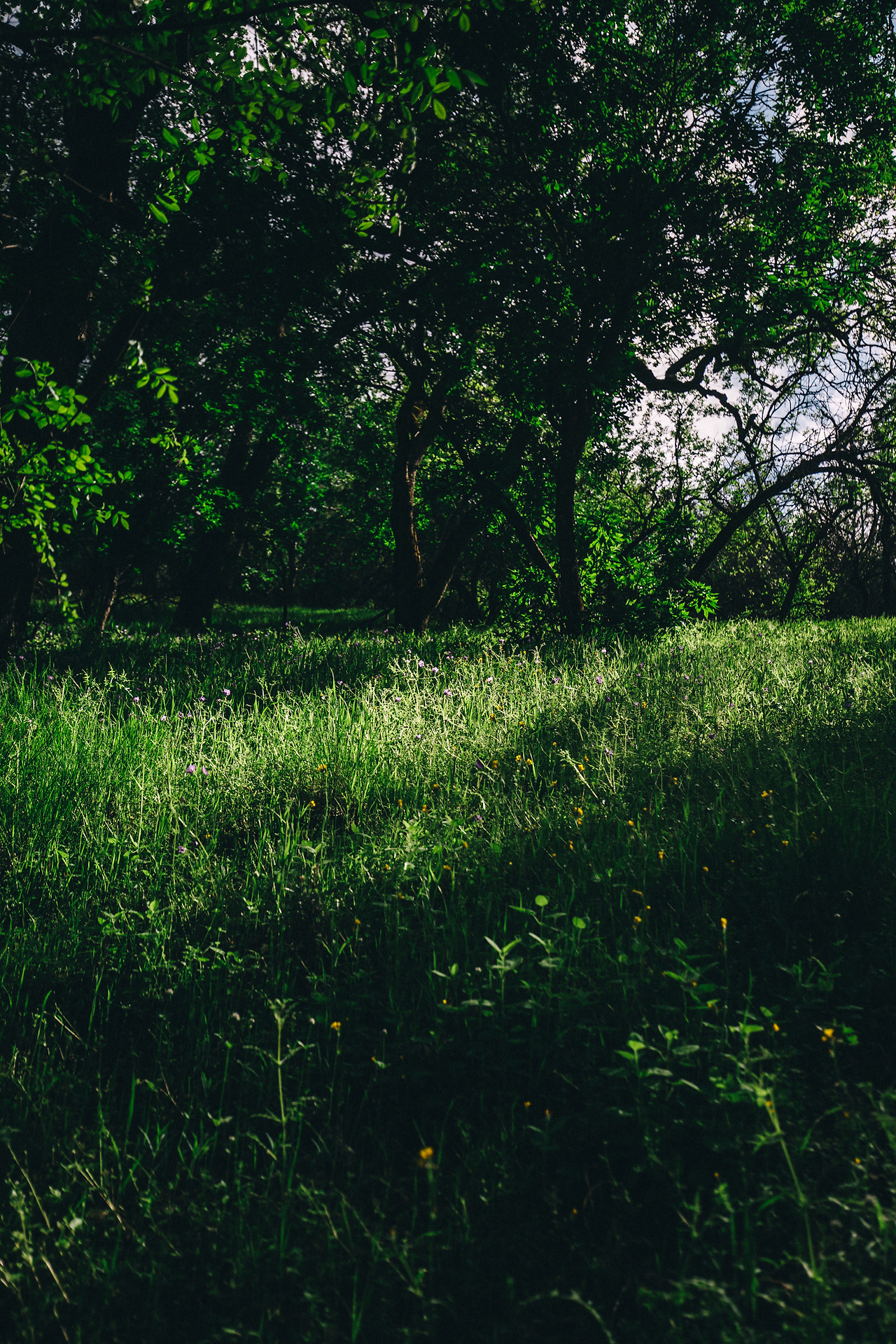 Day 16-23 (239 of 546).jpg