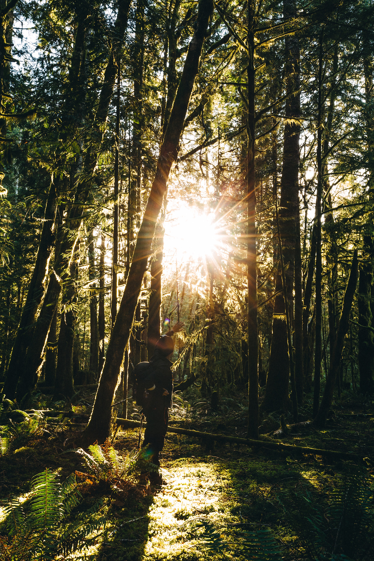 Day 24-35 (296 of 672).jpg