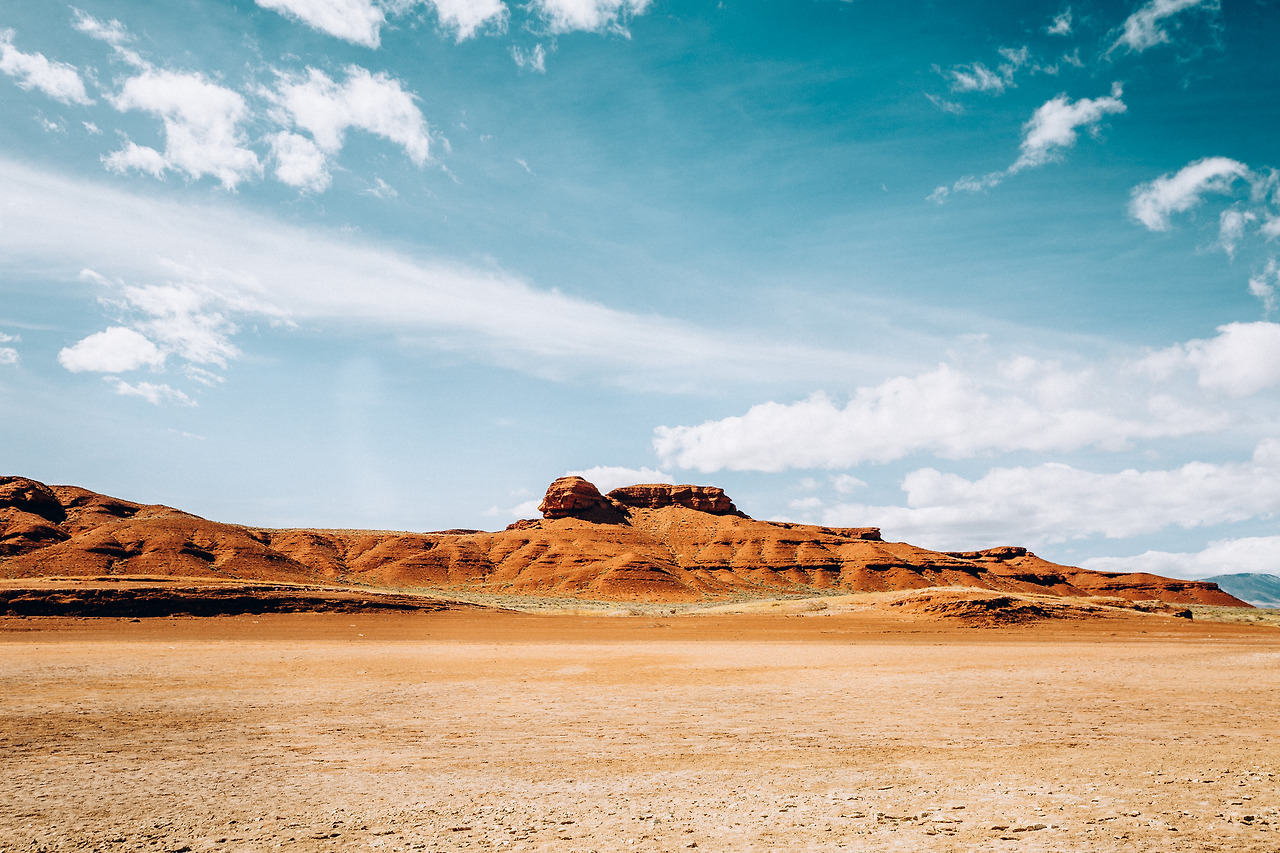 Day 36-50 (13 of 316).jpg