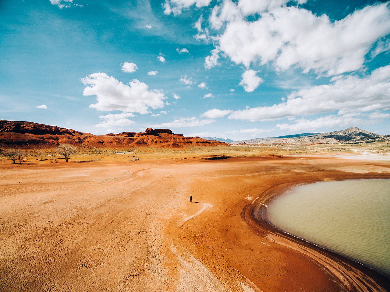 Day 36-50 (6 of 316).jpg