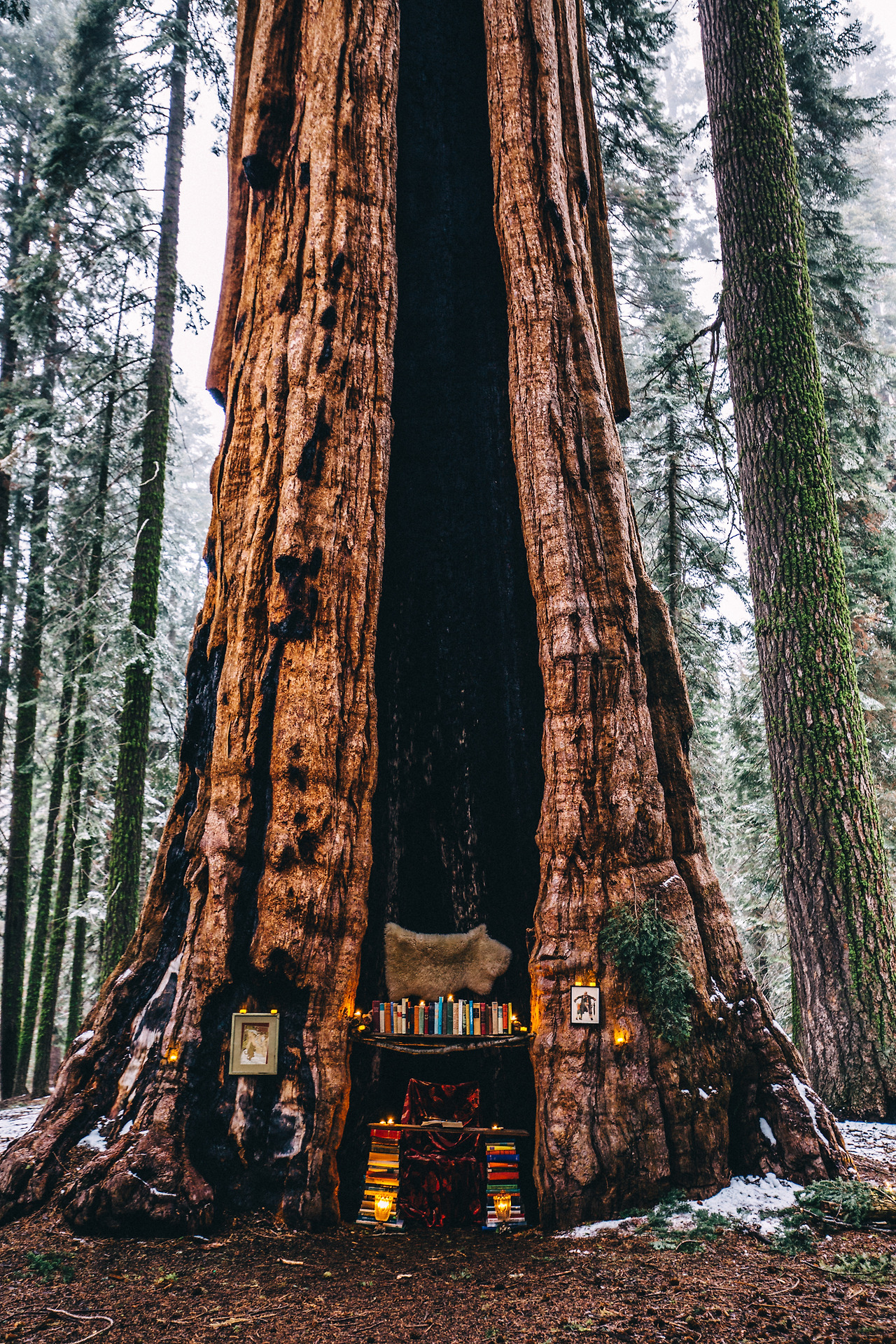 Day 16-23 (360 of 546).jpg