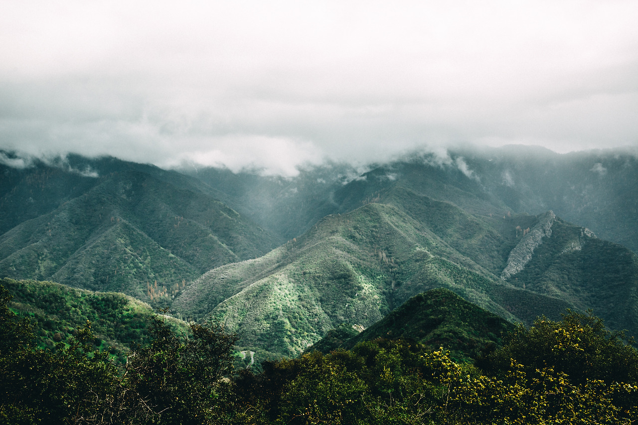 Day 16-23 (269 of 546).jpg